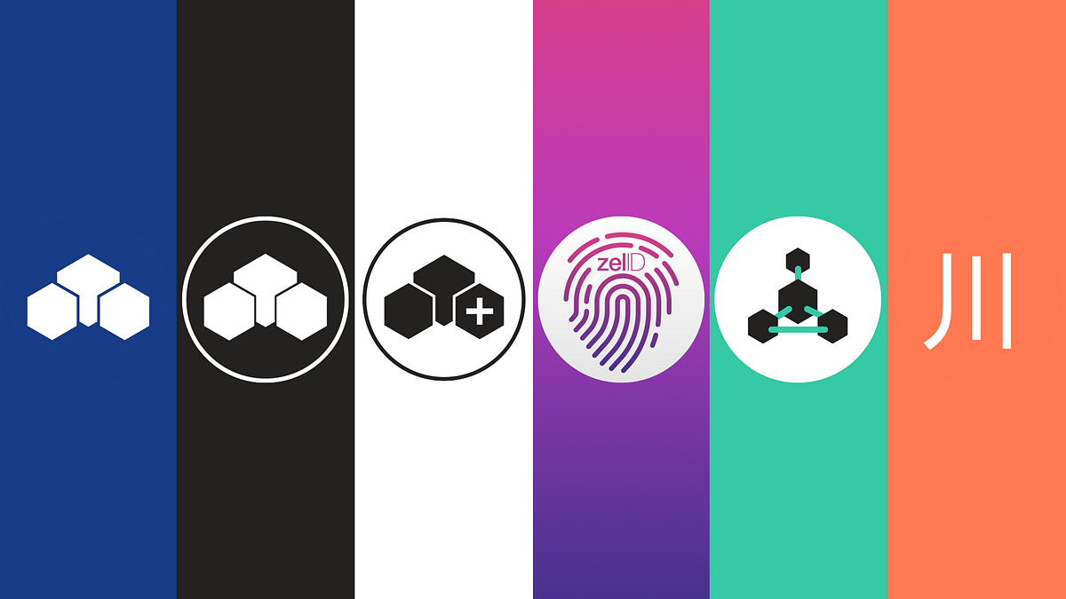 Zel — Everything You Need To Know