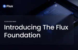 Introducing the Flux Foundation