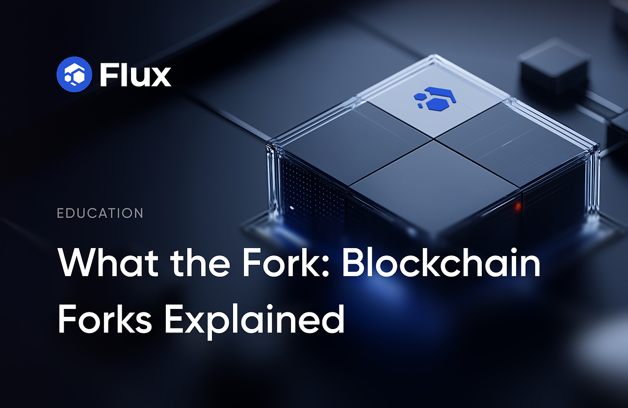 Flux explains blockchain forks in education graphic