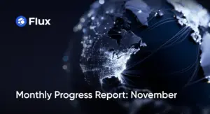 Monthly Progress Report: November